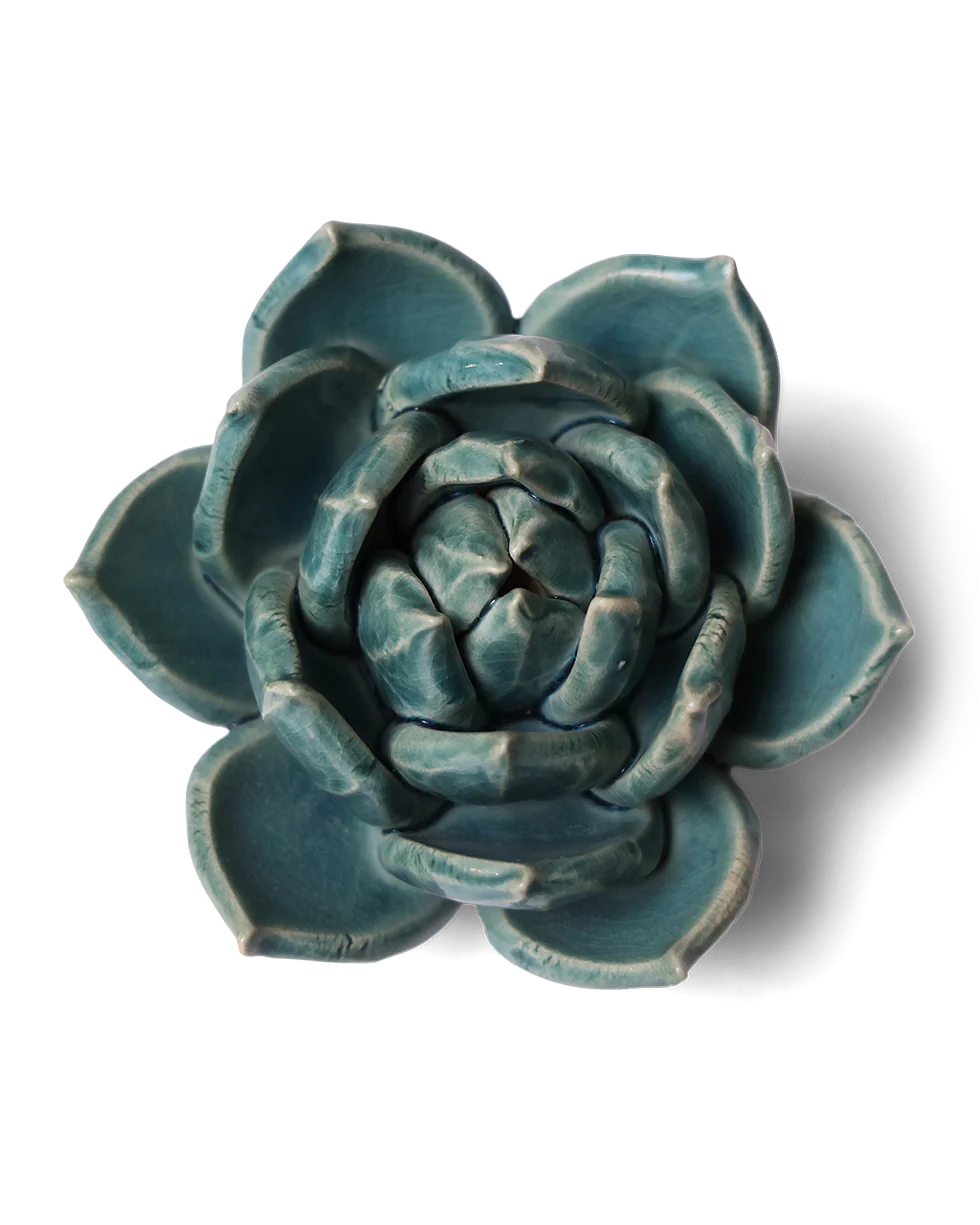 CHIVE CERAMIC SUCCULENT TEAL