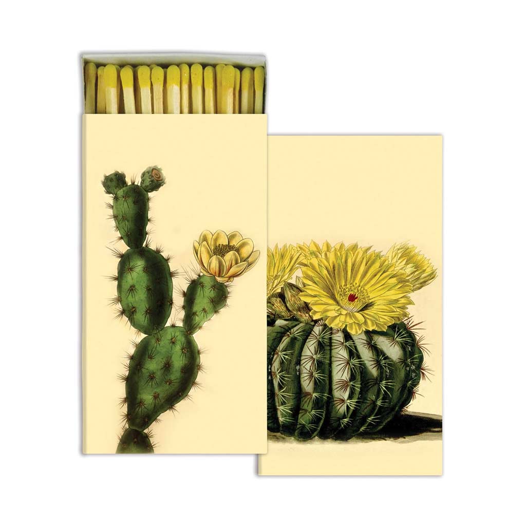 HomArt Matches, Regular