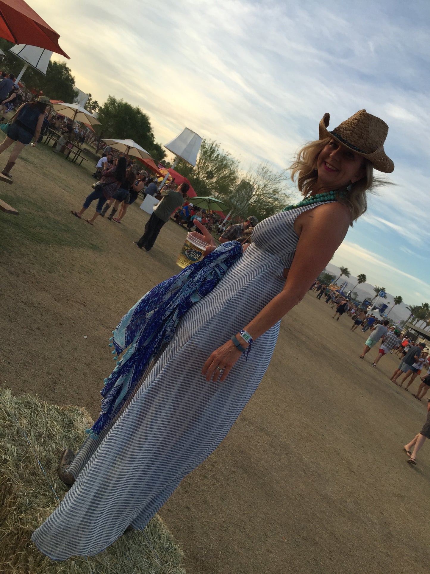 BB DAKOTA Festival Sheer Dress